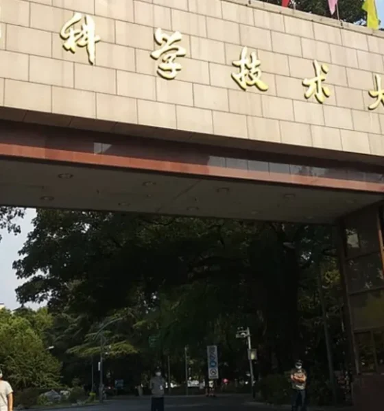 East China University Scholarships 2025