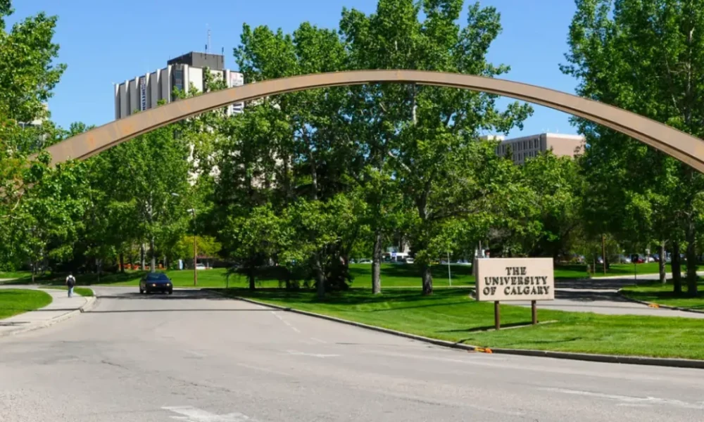 University of Calgary Undergraduate Scholarship 2025
